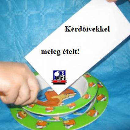 VDSZ: Kérdõívekbõl meleg ételt! - Kétszáz darab levél egy ebédért