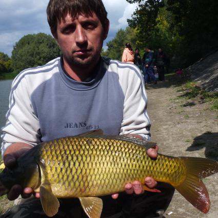 Fityiszt mutattak a halak a pecásoknak