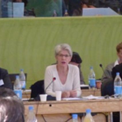 A gazdasági válság hatása az IndustriALL Europe mûködési területén