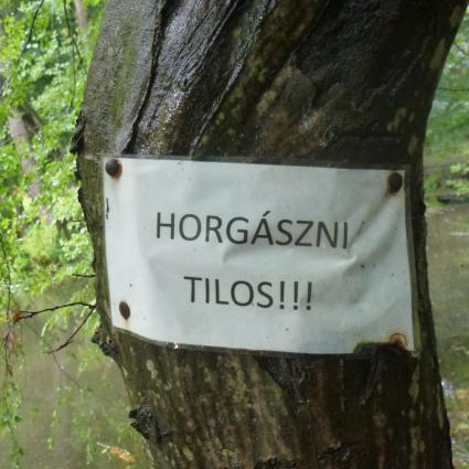 Andritz fogta ki a kupát