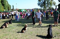 wimg_2636_200